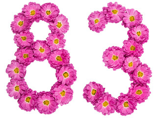Arabic numeral 83, eighty three, from flowers of chrysanthemum, isolated on white background