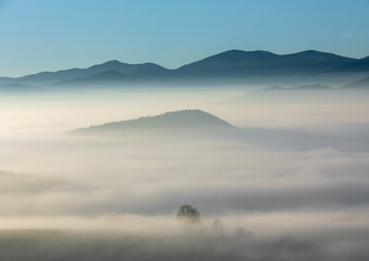 Obraz premium ground fog in area named 