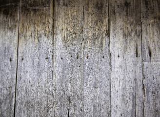 Wood wall texture