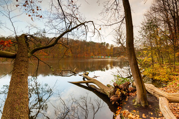 Calm autumnal atmosphere in the forest and by the lake
