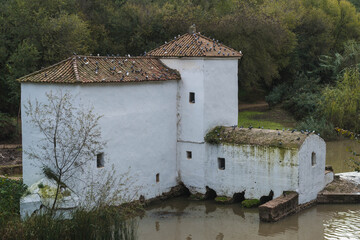 Water mill