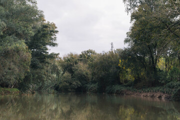 River full of nature in autumn