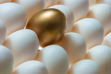 Golden egg in the middle of other eggs