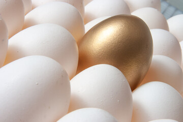 Golden egg in the middle of other eggs