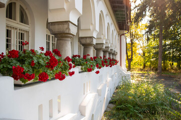 white house with flowers