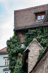 Vertical shot of apartment buildings covered in green in erfurt germany