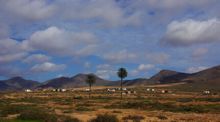 Canarian town between mountains and palm trees