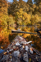 Autum at the lake