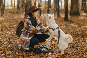 Fototapeta premium Stylish woman training white dog in sunny autumn woods. Cute swiss shepherd puppy learning