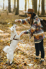 Stylish woman training white dog to jump in sunny autumn woods. Funny swiss shepherd puppy learning