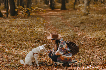 Stylish woman training white dog in sunny autumn woods. Cute swiss shepherd puppy learning