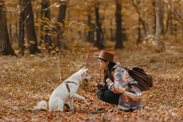Obraz premium Stylish woman training white dog in sunny autumn woods. Cute swiss shepherd puppy learning