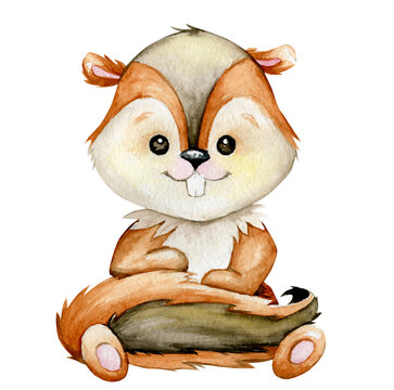 Chipmunk, a cute forest animal in cartoon style. Watercolor picture on an isolated background.