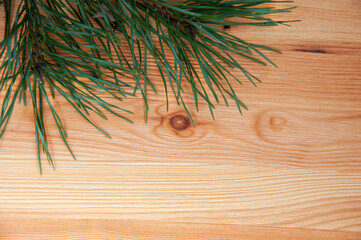A green pine branch lies on a light wooden surface. Copy space. Top view. Festive concept