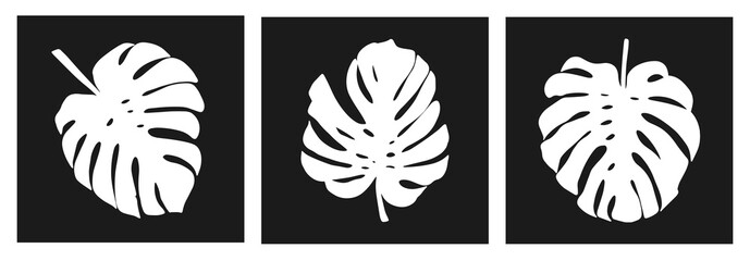 Black and white silhouettes of tropical leaves palms, trees. Vector