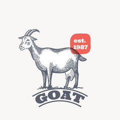 Farm goat emblem in classic elegance engraving style.