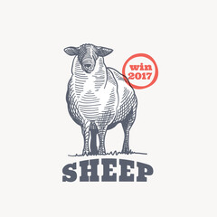 Farm lamb emblem in classic elegance engraving style. © kaer_fstock