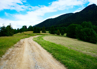 Fototapeta na wymiar field path to the mountains