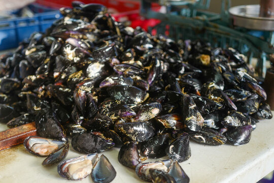 Closeup shot of a pile of fresh mussels on sale in a market