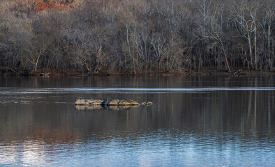 Landscape photo looking across the Potomac River as winter approaches. 