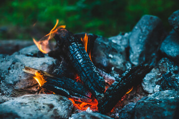 Vivid smoldered firewoods burned in fire close-up. Atmospheric warm background with orange flame of...