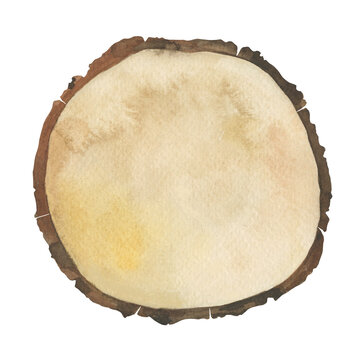 Hand painted boho rustic wooden slice circle for text. Ideal for wedding invitations, banners and signpost. Watercolor isolated illustration on a white background design element.