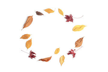 Autumn leaves frame on white paper background.