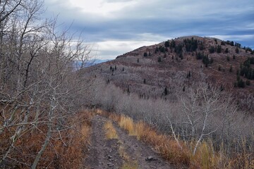 Provo Peak hiking trail mountain landscape scenic view, towards Slide Canyon, Slate Canyon Rock...