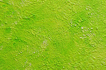 green textured concrete surface background