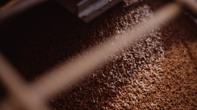wheat grains flow into the mill container