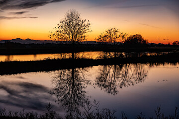 Fototapeta na wymiar Sunset at the Oasis of Manzolino, Castelfranco Emilia, Modena, Italy