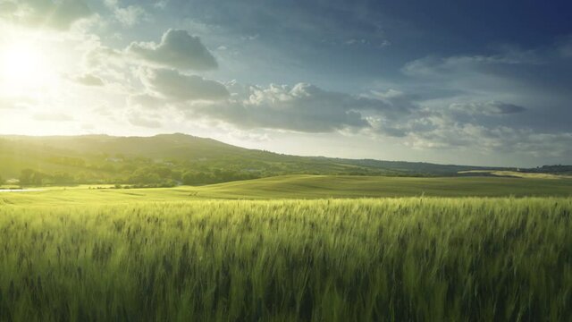 summer sunset in Tuscany, Italy