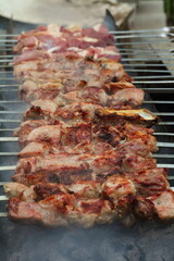 shish kebab (meat) on the barbecue