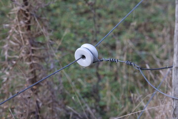 close up of a electrical wire fence around a pasture