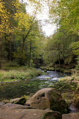 River in forest in autumn in Hrensko