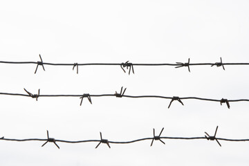 Barbed wire on a white background, wire fence, military object.