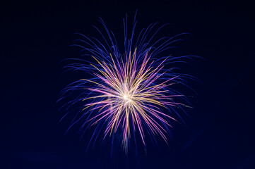 Festive fireworks in the black sky.