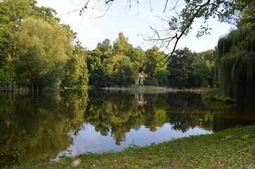 Glarieta, mała biała na starym stawie parkowym, Polska © Ewa