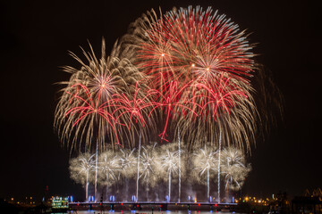 Festive fireworks in the black sky.