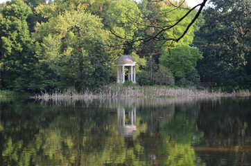 Glarieta, mała biała na starym stawie parkowym, Polska © Ewa