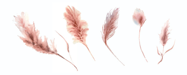 Watercolor boho elegant set of pampas grass branches. Romantic floral illustration for design, print, fabric textile, wedding invitation and greeting cards.