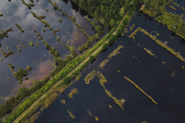 aerial drone shot view look from above of a swamp moss national park in Latvia, Kemeri with a trail and small ponds peat bog turbary reflection of the sky