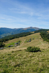 Barns for cows and sheep on the meadow Menchul. Montenegrin ridge, Carpathians, Ukraine. Vertical image. Copy space.