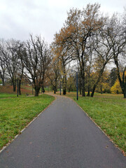 Fototapeta na wymiar Empty autumn park with a path