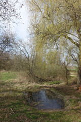 Rodauquelle bei Roedermark-Urberach