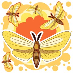 Butterflies on an abstract background. Moths. Bright beautiful composition. Isolated object on white. Vector.