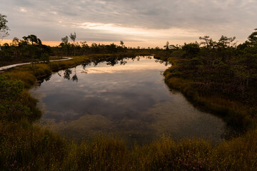 sunrise over a swamp pond reflection