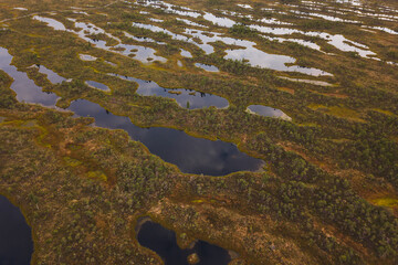 aerial drone shot view look from above of a swamp moss national park in Latvia, Kemeri with a trail and small ponds peat bog turbary reflection of the sky