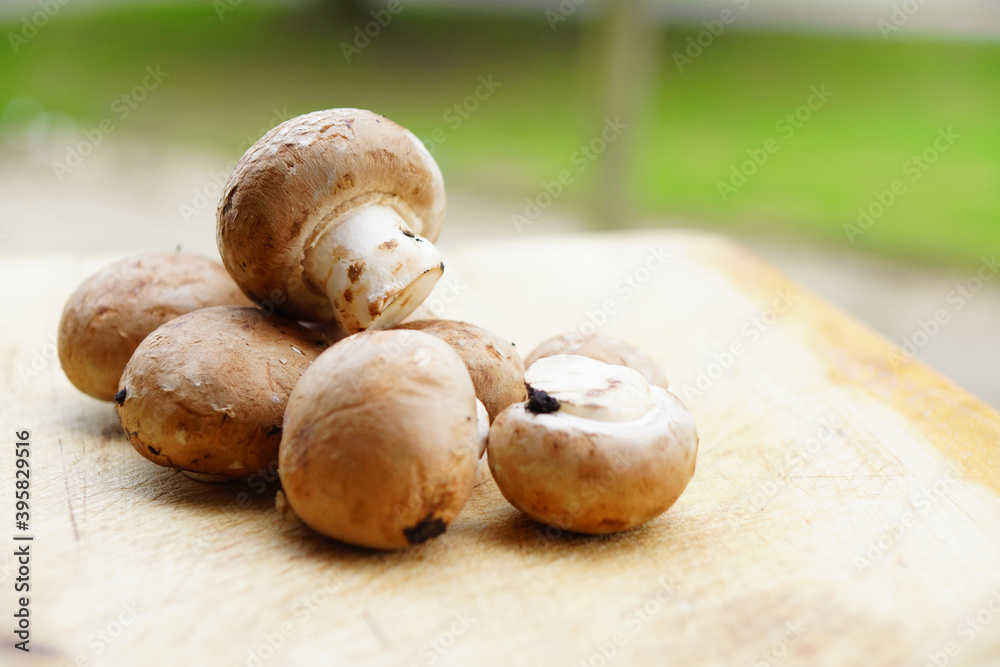 Canvas Prints Top view closeup of fresh mushrooms placed on a wooden cutting board