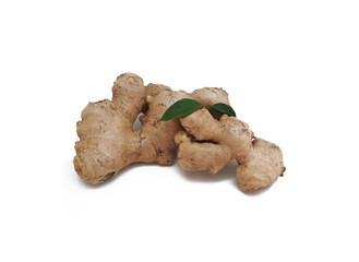Ginger on white background